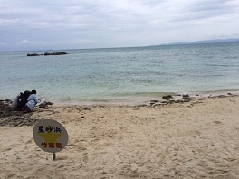 星砂浜