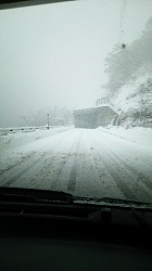雪の道路(91)