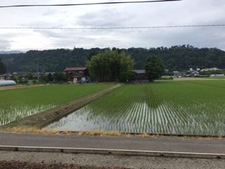 田園風景