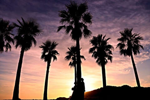 リゾートウェディング