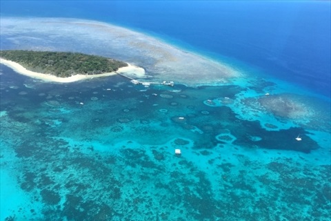 グレートバリアリーフ