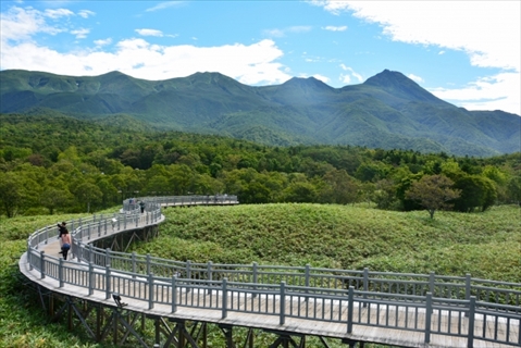 知床五湖から眺める知床連山