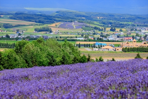 フラワーランドかみふらの