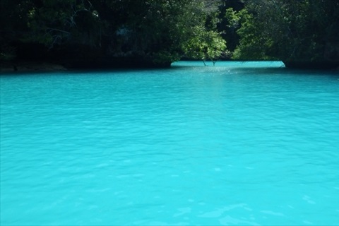 パラオ ミルキーウェイ